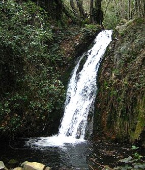 Parc natural del Montseny